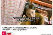 国产视频欧美,欧美市场刮起中国风